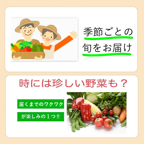 3フードロス通販野菜セットコロナ応援