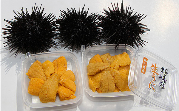 4ふるさと納税北海道ムラサキウニ美味しいもの
