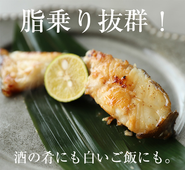 4フードロス通販西京漬け魚食品ロス