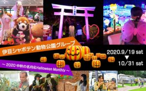 伊豆シャボテン動物公園gpハロウィン2020中秋の名月イベント