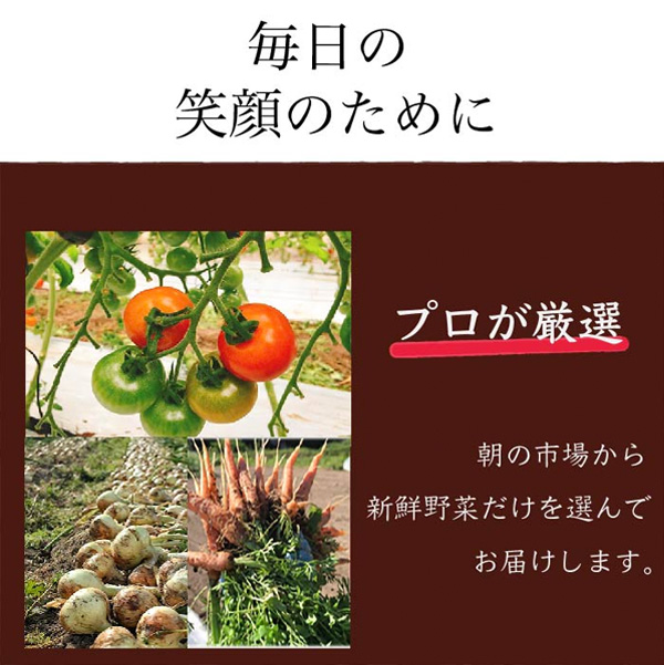 4フードロス通販野菜セット食品ロス