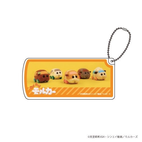 4モルカーグッズ新発売!カンバッジ・アクスタ・小物ケース・ランチボックス・はしPUIPUI