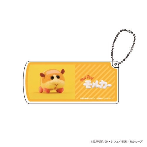 5モルカーグッズ新発売!カンバッジ・アクスタ・小物ケース・ランチボックス・はしPUIPUI