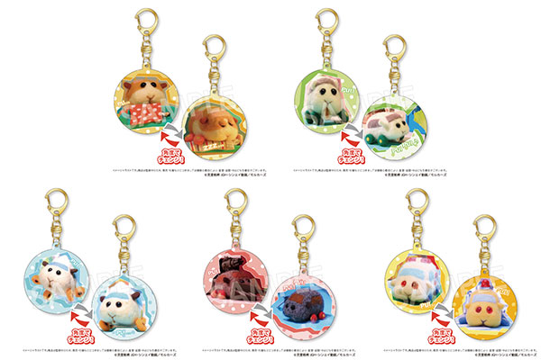 3プイプイモルカーグッズ グラちぇんキーホルダー Vol.1予約!『PUI PUI モルカー』通販・取扱い店舗