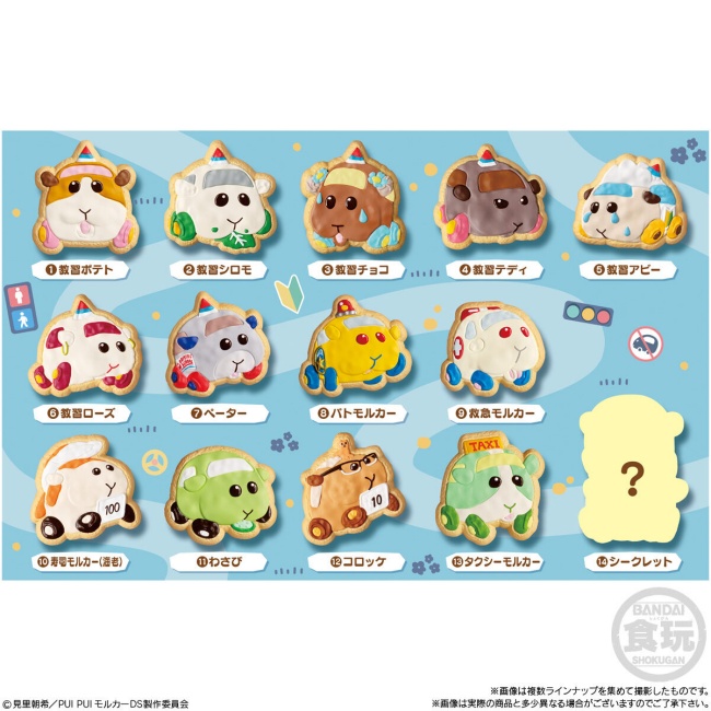 3 PUI PUI モルカー COOKIE MAGCOT2